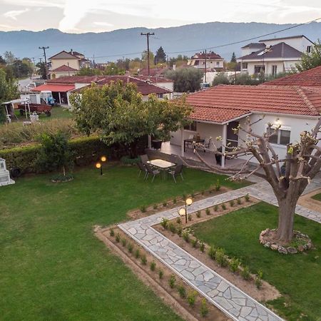 Castellano Vasiliki Βίλα Vasiliki  Εξωτερικό φωτογραφία