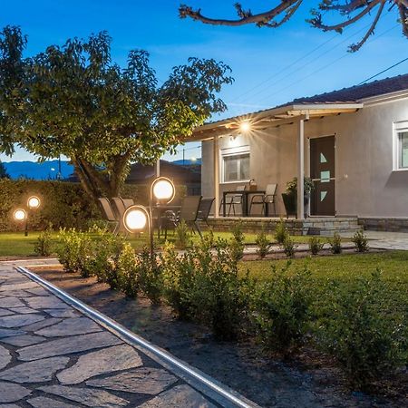 Castellano Vasiliki Βίλα Vasiliki  Εξωτερικό φωτογραφία